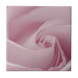 Carreau Macro rose