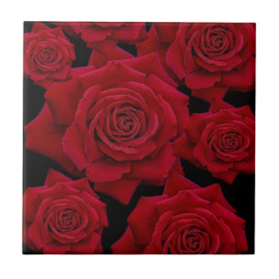 Carreau Magnifique et élégant Motif en fleurs de rose ro