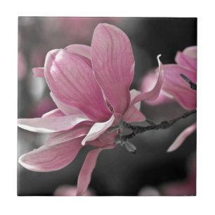 Carreau Magnolia à assiette japonaise rose