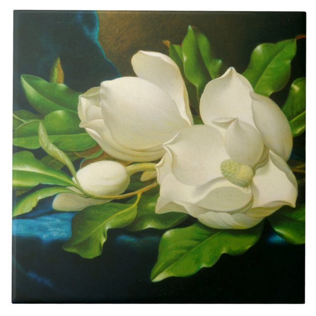 Carreau Magnolias géant sur un tissu de velours bleu (tête (Devant)