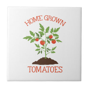 Carreau Maison cultivée