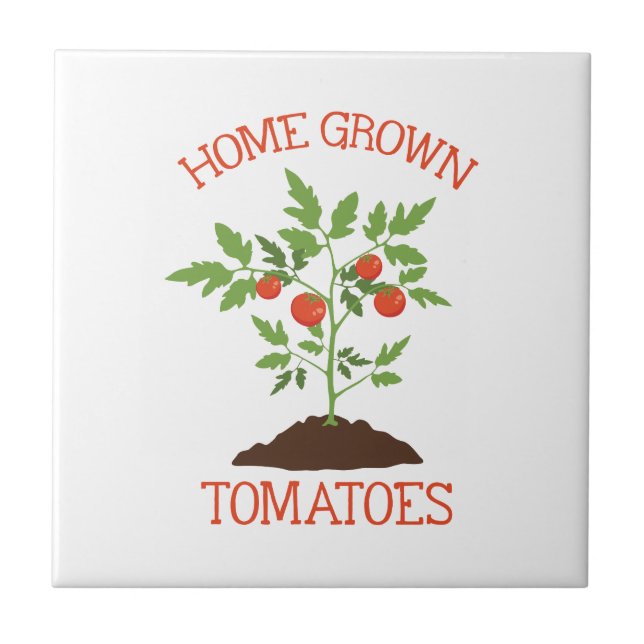 Carreau Maison cultivée (Devant)