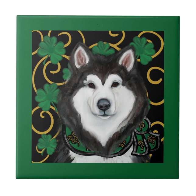 Carreau Malamute d'Alaska                 (Devant)