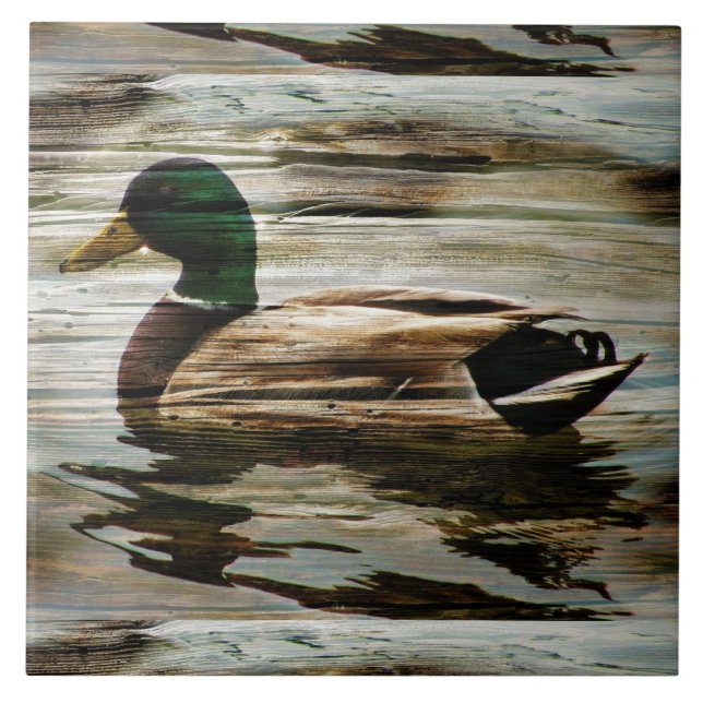 Carreau Mallard Duck (Devant)