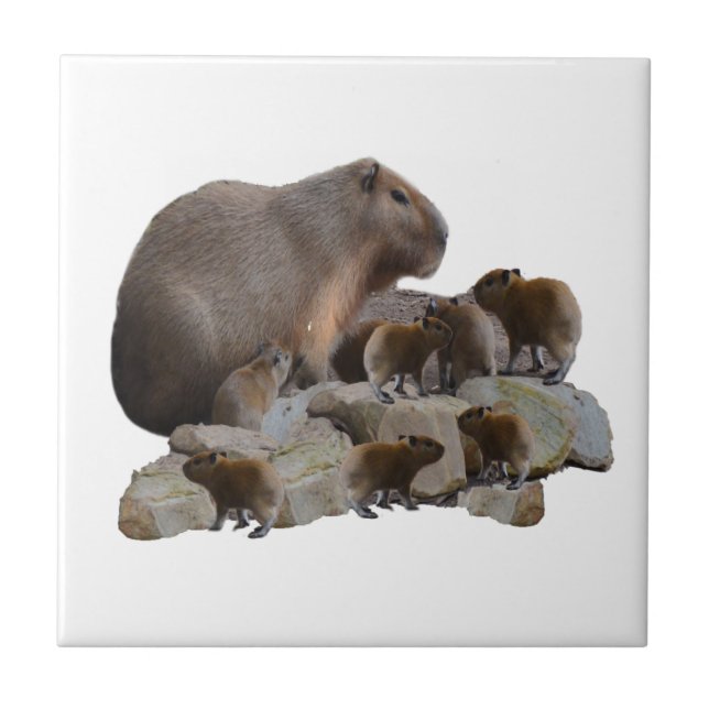 Carreau Maman et bébé capybaras, (Devant)
