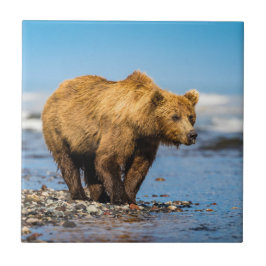 Carreau Maman ours regarde ses deux enfants