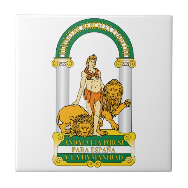 Carreau Manteau d'Andalousie (Espagne) des bras (Devant)