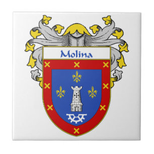 Carreau Manteau de Molina des bras/de crête de famille