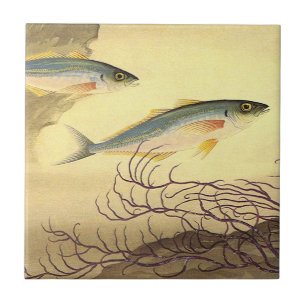 Carreau Maquereau Poisson nager dans l'océan