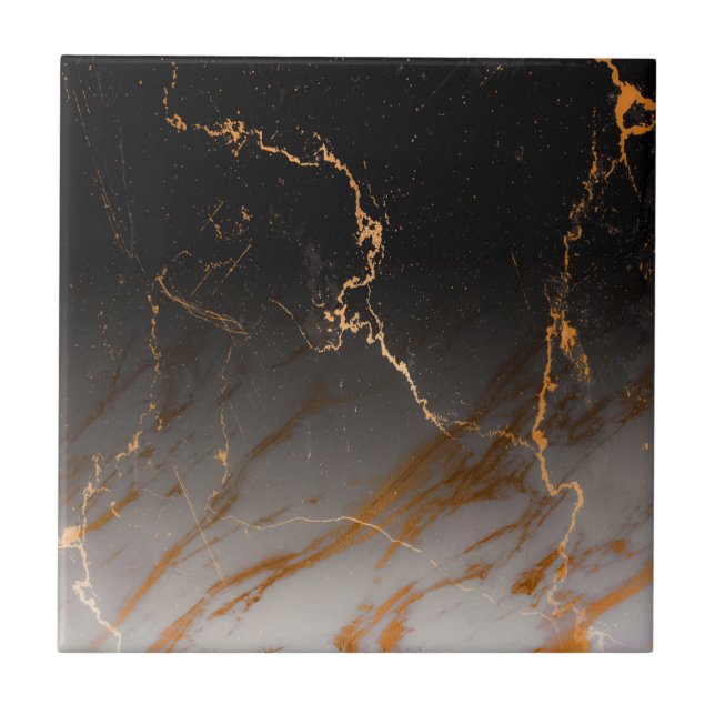 Carreau Marbre noir et blanc (Devant)