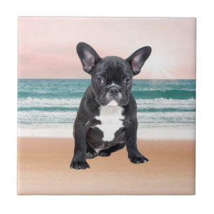 Carreau Mare French Bulldog Beach Eau Soleil