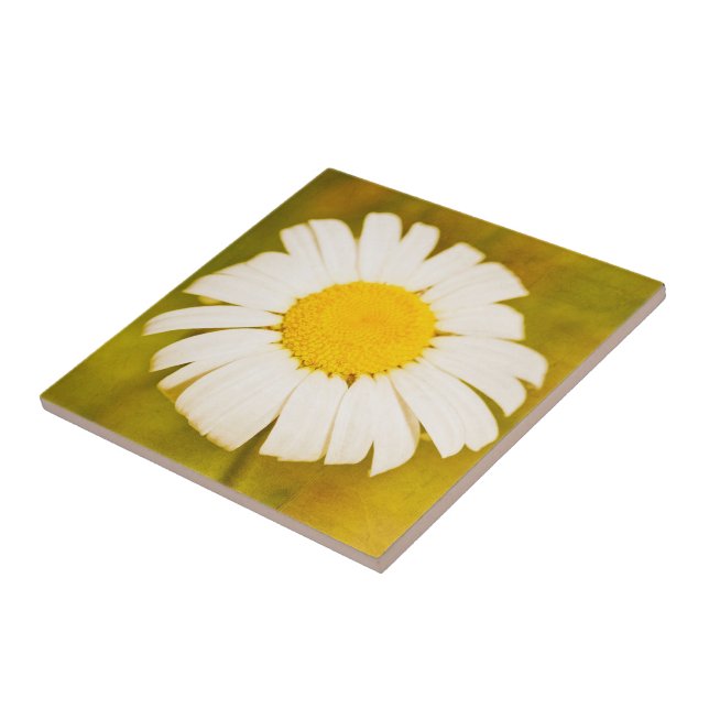 Carreau marguerite et été solitaire (Côté)