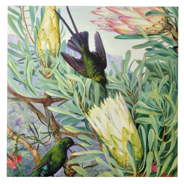 Carreau Marianne North, Honeyflowers et Honeysucers, (Devant)