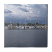 Marina de voiliers