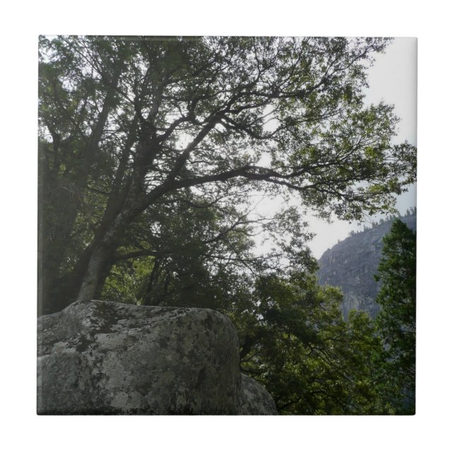 Carreau Matin sur le sentier à Vernal Falls à Yosemite (Devant)