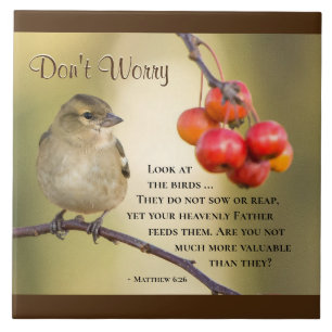 Carreau Matthieu 6:26 Verse de la Bible, ne vous inquiétez