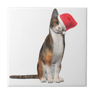 Carreau Meowy Noël avec un chat ludique dans un casquette