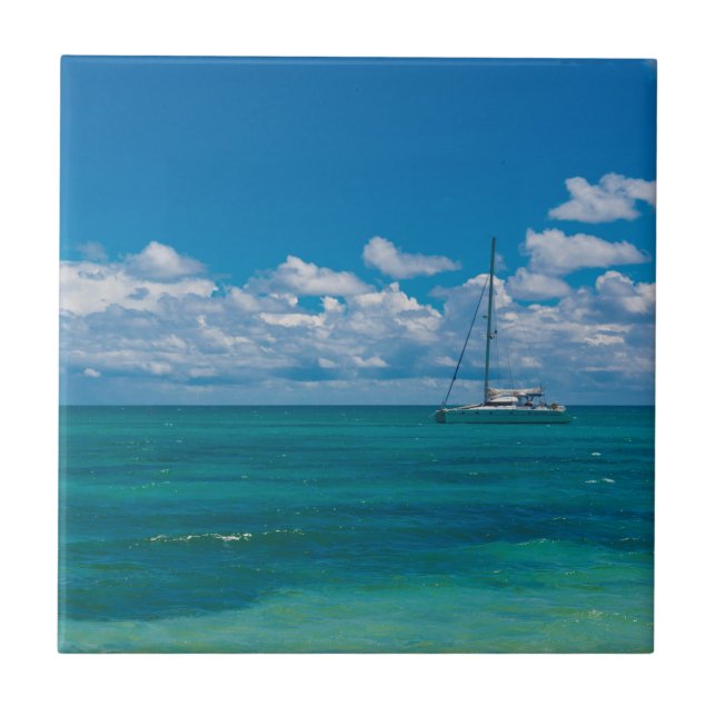 Carreau Mer de Blue Tropical Bay (Devant)