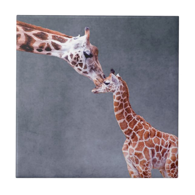 Carreau Mère des images | de Getty et girafe de bébé (Devant)
