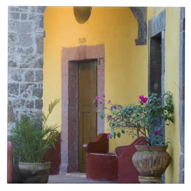 Carreau Mexique, San Miguel de Allende, entrée d'Archway (Devant)