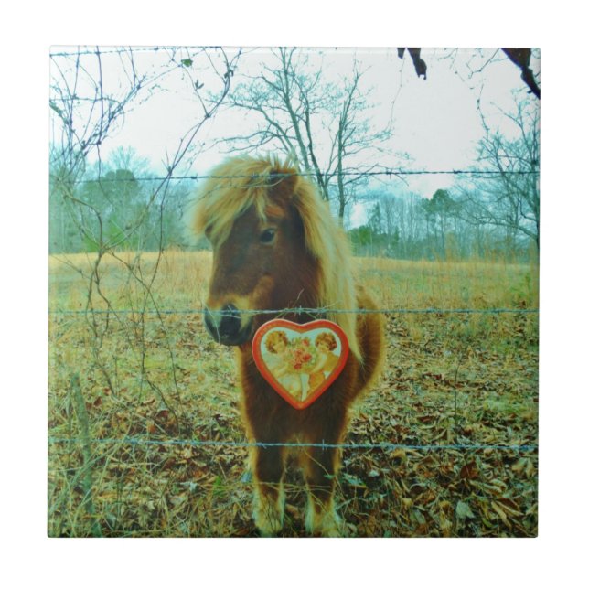 Carreau Miniature cheval Brown Valentine Heart (Devant)