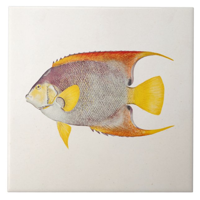 Carreau Modèle hawaïen d'impression d'ange d'antiquité (Devant)