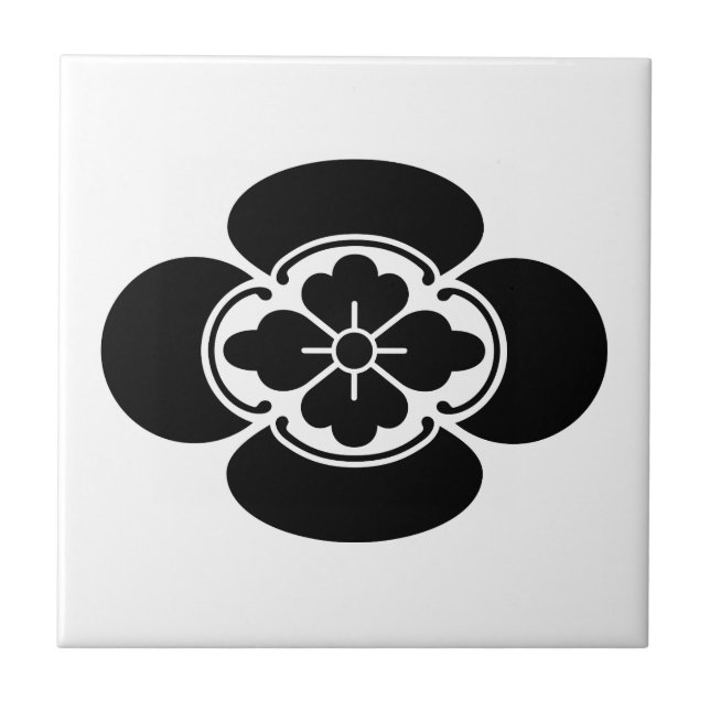 Carreau Mokko (homonymie) (Devant)