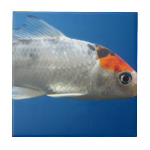 Carreau Mon animal de compagnie Koi Fish