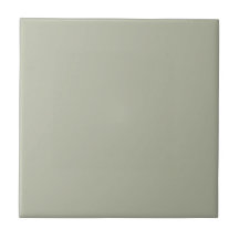 Monochrome gris muet moderne