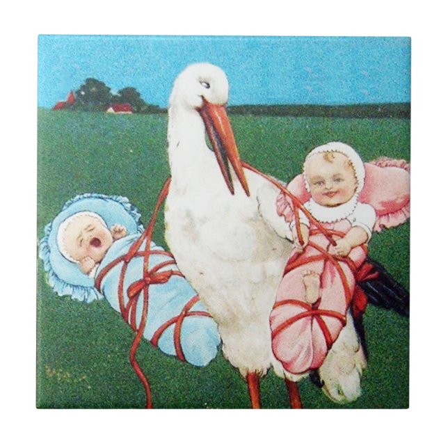 CARREAU MONOGRAMME DU BABY SHOWER STORK TWIN (Devant)