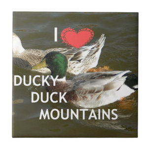 Carreau Montagnes de canards.