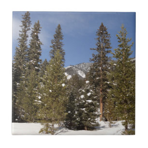 Carreau Montana Mountain Trails in Winter Landcape Photo
