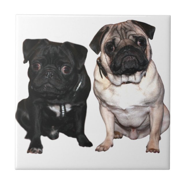 Carreau Mops Jack et Richi (Devant)