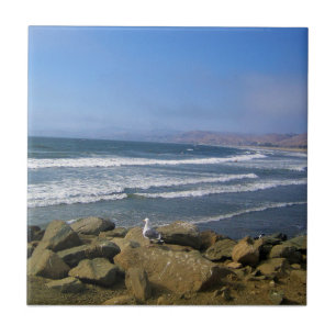 Carreau Morro Bay, Californie