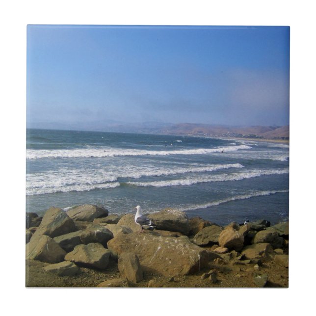 Carreau Morro Bay, Californie (Devant)