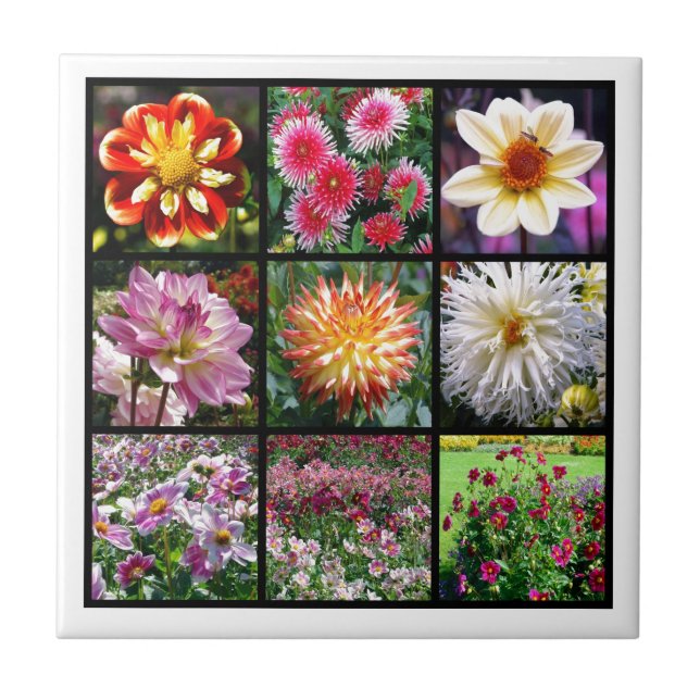 Carreau Mosaic dahlia fleurs (Devant)