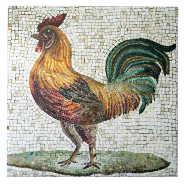CARREAU MOSAÏQUES ROMAINES ANTIQUE / MONOGRAPHIE ROMAINE (Devant)