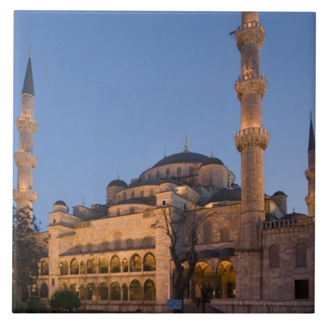 Carreau Mosquée bleue, région de Sultanhamet, Istanbul, (Devant)
