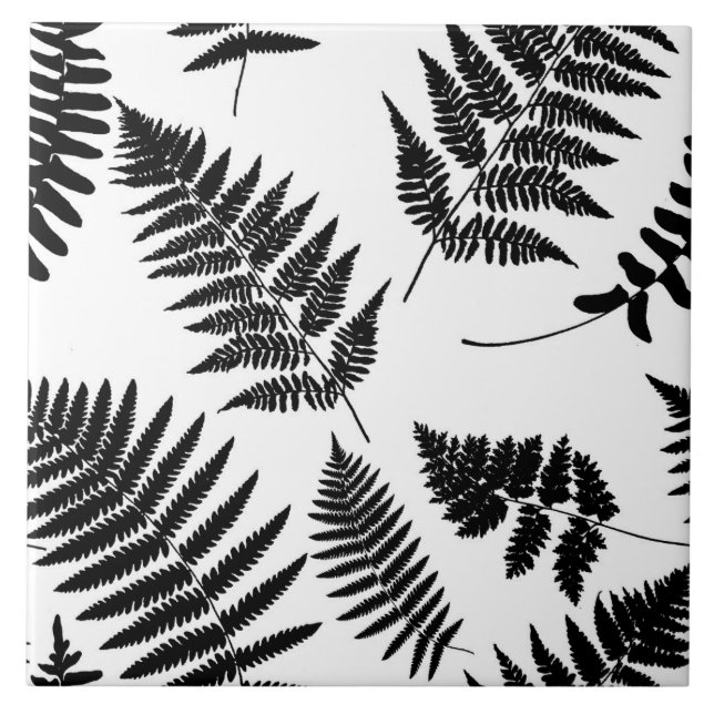 Carreau Motif de fougères de bois, noir et blanc  (Devant)