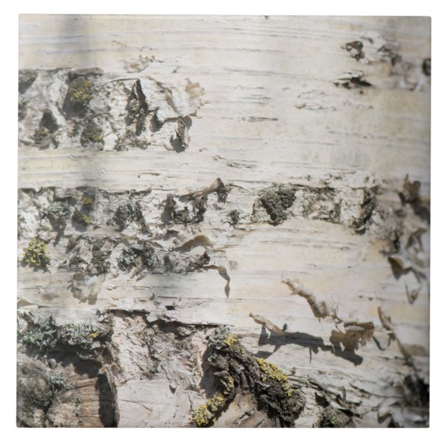 Carreau Motif d'écorce de bouleau (Devant)