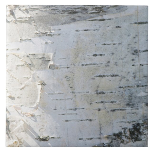 Carreau Motif d'écorce de bouleau (Devant)