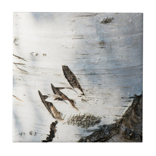 Carreau Motif d'écorce de bouleau (Devant)