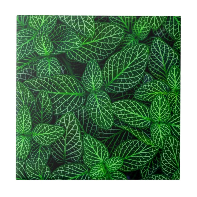 Carreau Motif feuille très vert (Devant)