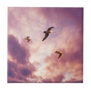 Carreau Mouettes volant dans un ciel de coucher de soleil