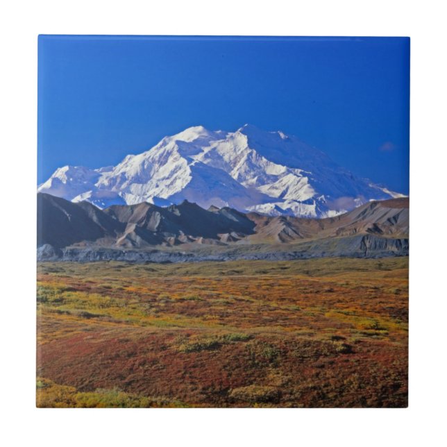 Carreau Mt. Parc national McKinley Denali, Alaska (Devant)