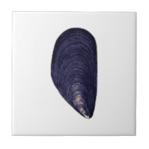 Mussel bleu vintage
