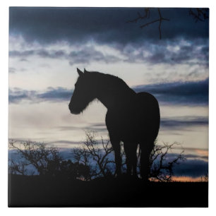 Carreau Mustang et Storm Fine Art