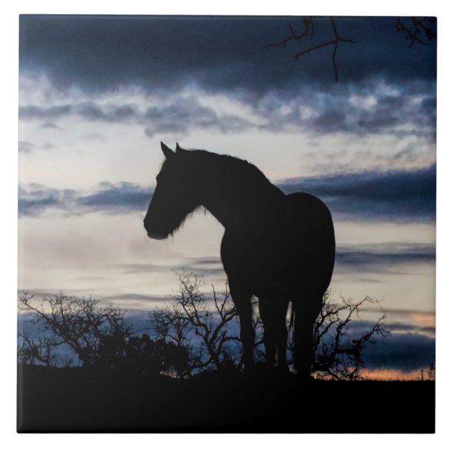 Carreau Mustang et Storm Fine Art (Devant)