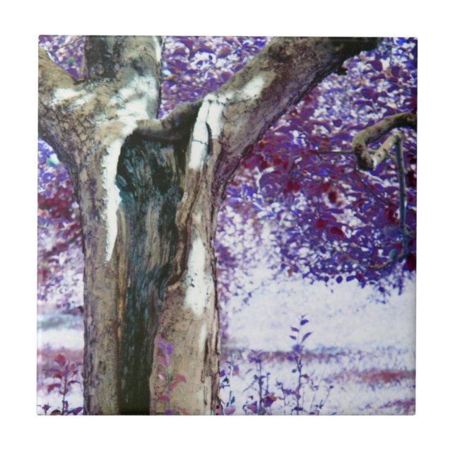 Carreau Mystical tree (Devant)