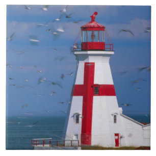 Carreau NA, Canada, Nouveau-Brunswick, île Campobello. 8